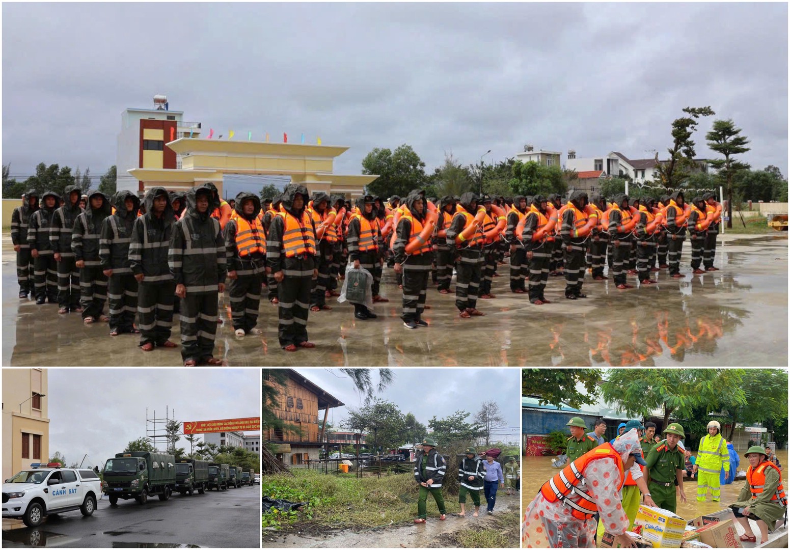 ipiccy_image (17).jpg