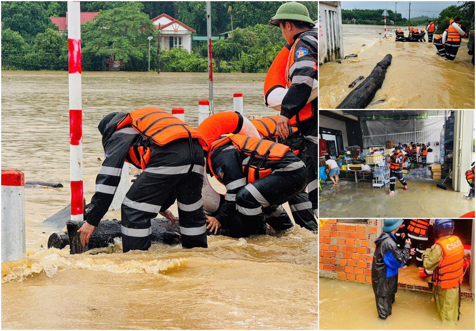 ipiccy_image (19).jpg