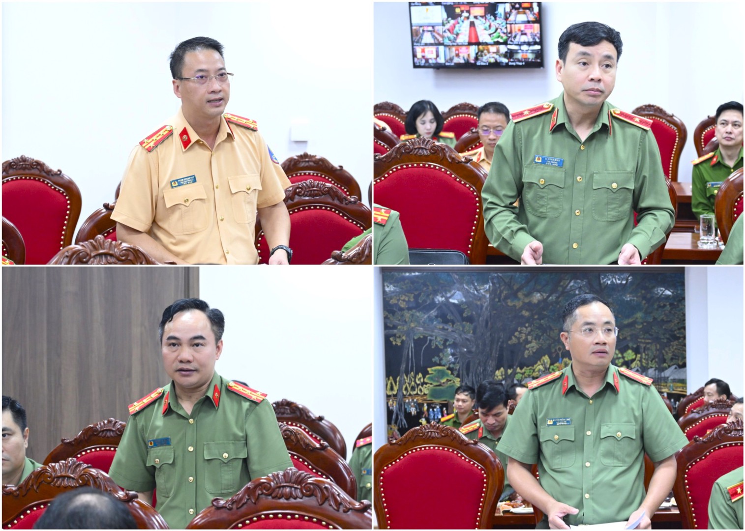 ipiccy_image (1).jpg