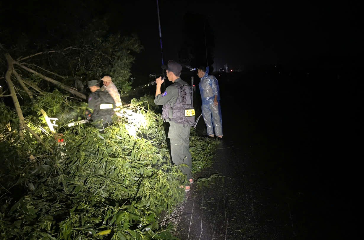 don cay nga do trong dem.jpg