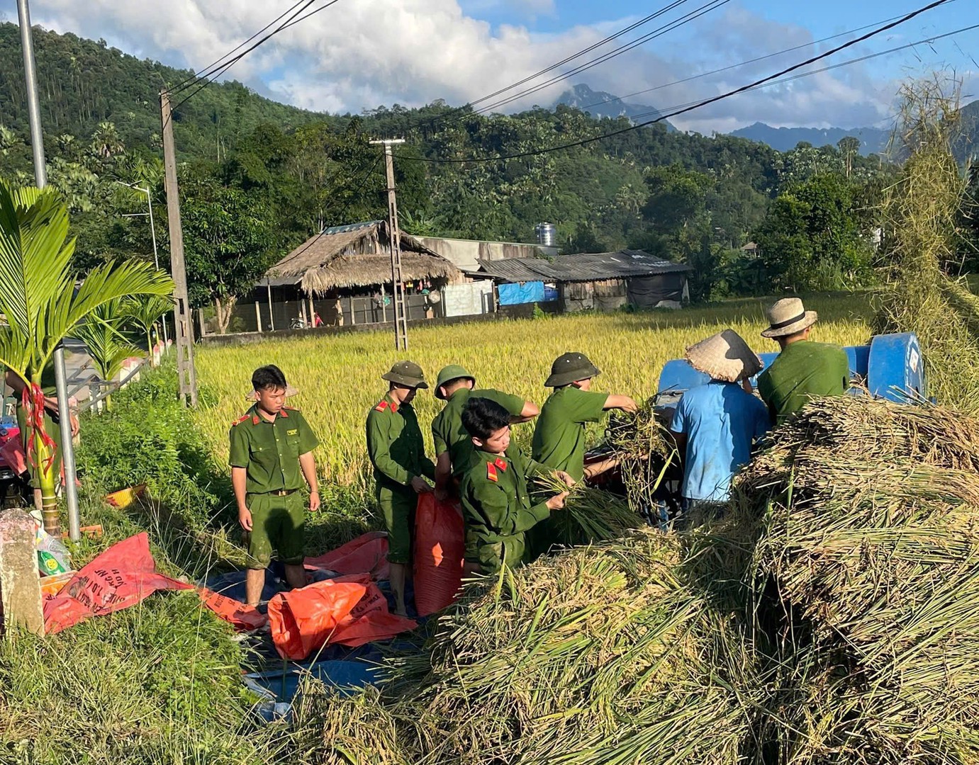 1 - 2025-11-11T102730.526.jpg