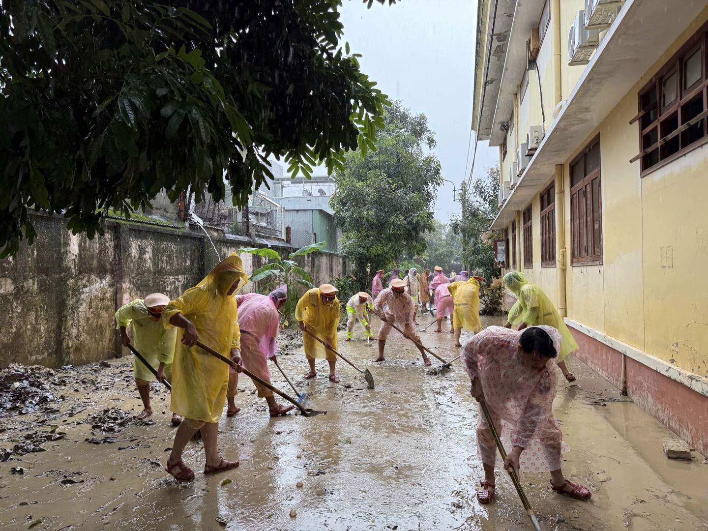 Ảnh 6 - PC08, Gia Lai.jpg