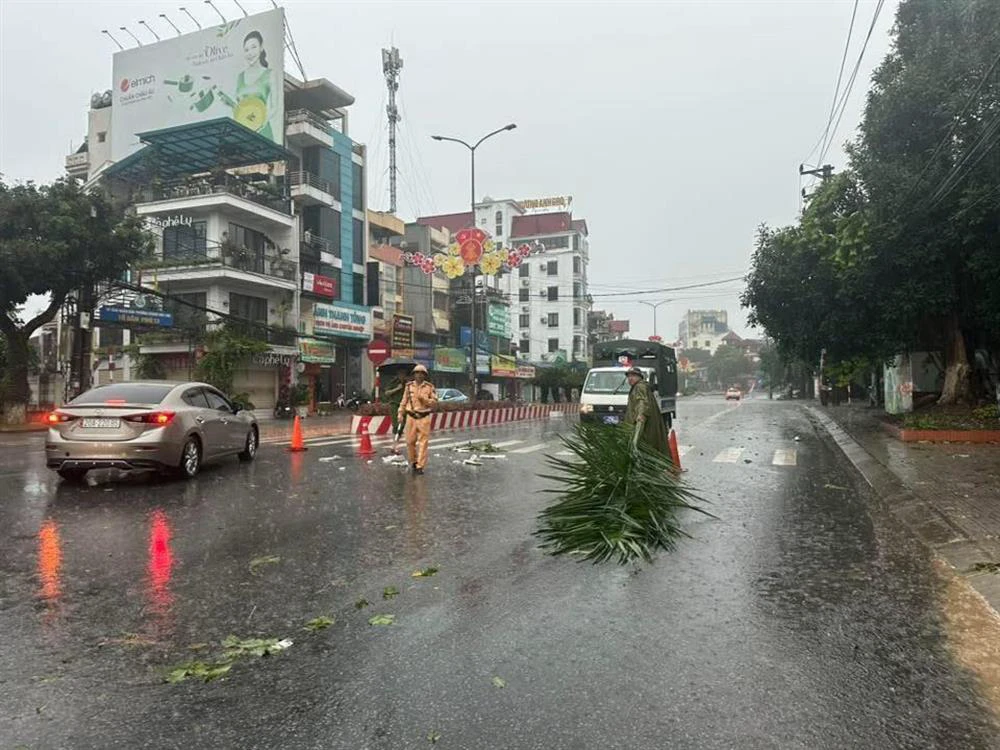 05 cap phan dinh phung.jpg