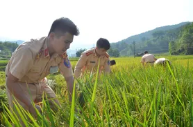 Tỏa sáng từ biên cương