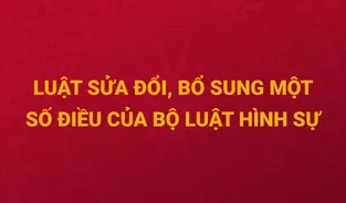 Nội dung cơ bản của Luật sửa đổi, bổ sung một số điều của Bộ luật Hình sự