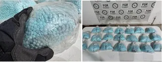 Chiến dịch Lionfish Mayag III của INTERPOL về phòng chống mua bán trái phép chất ma túy khu vực châu Á