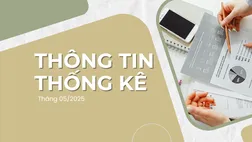[Infographic] Thông tin thống kê (Tháng 5/2025)