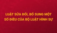 Nội dung cơ bản của Luật sửa đổi, bổ sung một số điều của Bộ luật Hình sự