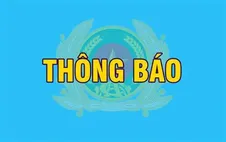 Thông báo đấu giá trực tuyến biển số xe trong các ngày 13, 14 - 15/8/2025