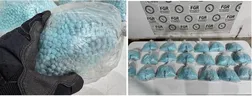 Chiến dịch Lionfish Mayag III của INTERPOL về phòng chống mua bán trái phép chất ma túy khu vực châu Á