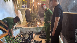 Hải Phòng: Phát hiện cơ sở kinh doanh tàng trữ hàng chục bình khí N₂O, hóa đơn liên quan đến "bóng cười"