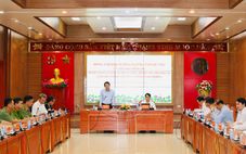 Minister Luong Tam Quang works with Khanh Hoa Provincial Party Committee Standing Board