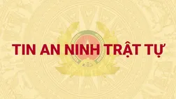 Kết luận điều tra đề nghị truy tố vắng mặt đối với bị can truy nã Nguyễn Công Minh trong vụ án xảy ra tại Công ty TNHH Cây xanh Công Minh