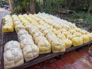 Bắc Ninh: Phát hiện cơ sở trộn hóa chất cấm sử dụng để chế biến hàng tấn riềng xay tươi bán cho người tiêu dùng