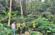 Tiếp tục quyết liệt các giải pháp bảo vệ động vật hoang dã