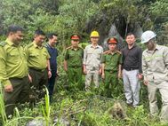 Giải cứu, tiếp nhận nhiều động vật hoang dã quý hiếm, tái thả về thiên nhiên