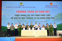Bảo vệ môi trường và đa dạng sinh học bằng các hoạt động thiết thực