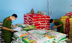 Kiên quyết đấu tranh, xử lý hành vi xâm phạm sở hữu trí tuệ trên địa bàn Cà Mau