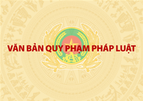 Văn bản quy phạm pháp luật liên quan công tác công an được ban hành và tổ chức lấy ý kiến trong tháng 8/2025