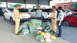 Ninh Bình: Bắt giữ xe ô tô vận chuyển thực phẩm không rõ nguồn gốc