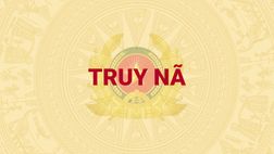 Truy nã Nguyễn Văn Đài về tội “Làm, tàng trữ, phát tán hoặc tuyên truyền thông tin, tài liệu, vật phẩm nhằm chống Nhà nước Cộng hòa xã hội chủ nghĩa Việt Nam”