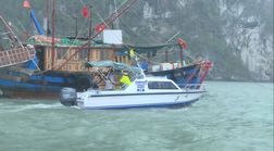 Quảng Ninh: Khẩn trương, tập trung rà soát, kêu gọi tàu thuyền về nơi tránh trú bão