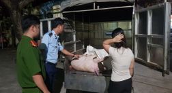 Công an Hưng Yên tăng cường phòng ngừa, đấu tranh với tội phạm và vi phạm pháp luật về an toàn thực phẩm