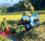 Lực lượng Công an tỉnh Tuyên Quang tích cực hỗ trợ nhân dân thu hoạch lúa